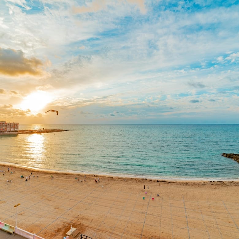 Explorer les côtes les plus appréciées d'Espagne : Costa del Sol, Costa Cálida et Costa Blanca
