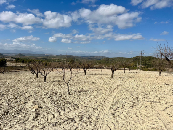 Land for sale in BULLAS