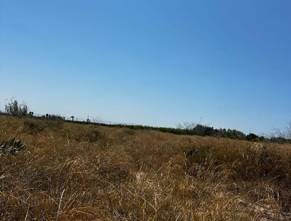 Property for sale in Elche